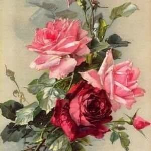 Meet your Posher, Kathy